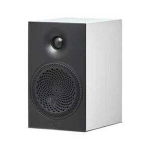 Paradigm Premier 100B